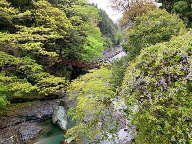 Iya Kankou Ryokan Miyoshi  Εξωτερικό φωτογραφία
